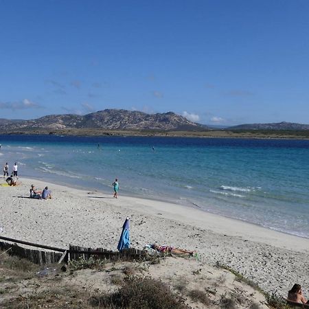 Resort Con Piscina A Soli 250 Mt Dalla Spiaggia La Pelosa Stintino Dış mekan fotoğraf