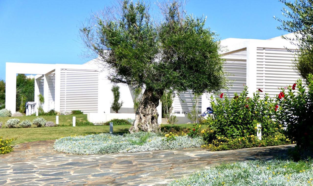 Resort Con Piscina A Soli 250 Mt Dalla Spiaggia La Pelosa Stintino Dış mekan fotoğraf