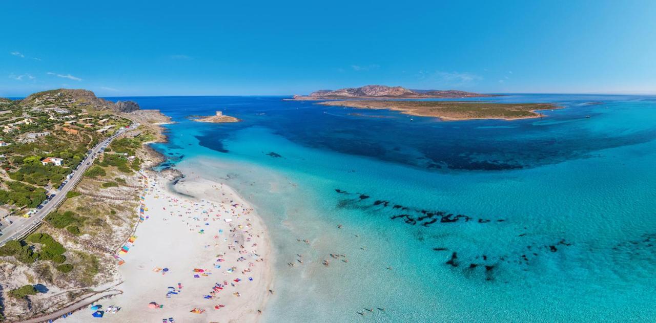 Resort Con Piscina A Soli 250 Mt Dalla Spiaggia La Pelosa Stintino Dış mekan fotoğraf